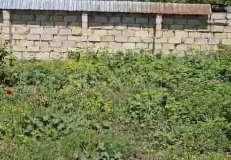 20 sot Torpaq Satılır, Qəbələ