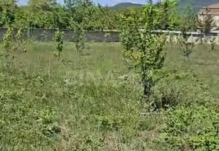 20 sot Torpaq Satılır, Qəbələ