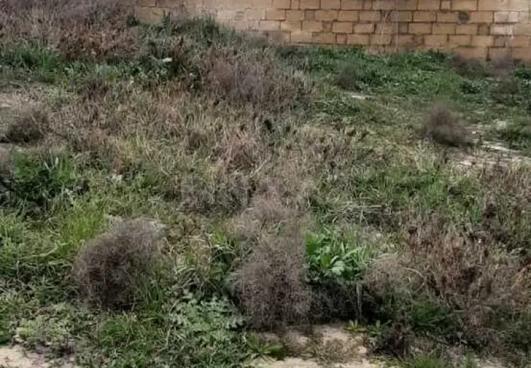 2.6 sot Torpaq Satılır, Badamdar qəs., Səbail, Bakı