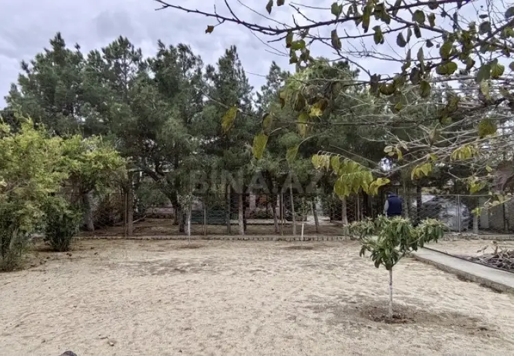 24 sot Torpaq Satılır, Bilgəh qəs., Sabunçu, Bakı