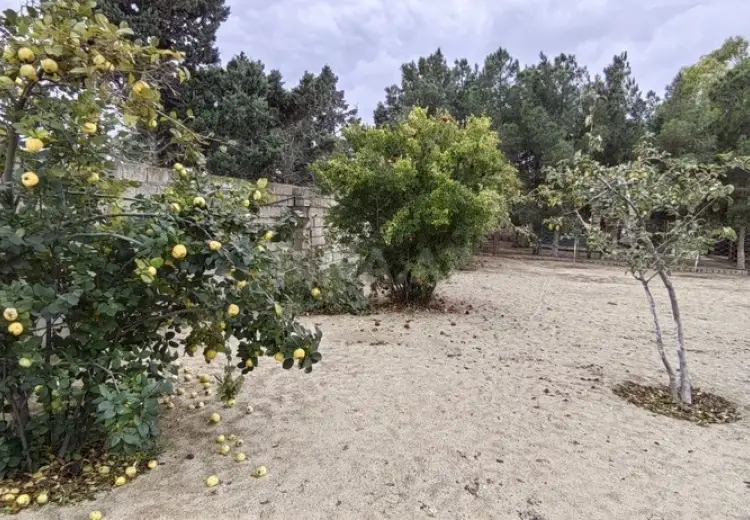 24 sot Torpaq Satılır, Bilgəh qəs., Sabunçu, Bakı