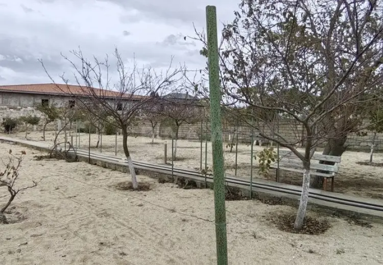 24 sot Torpaq Satılır, Bilgəh qəs., Sabunçu, Bakı