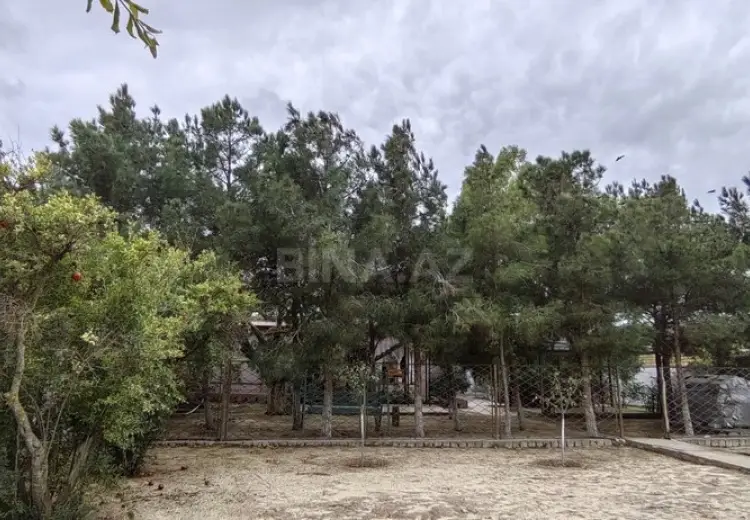 24 sot Torpaq Satılır, Bilgəh qəs., Sabunçu, Bakı