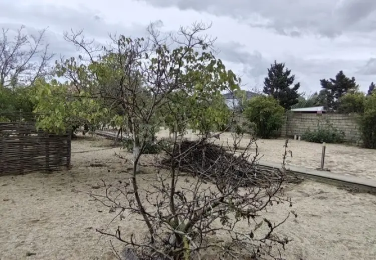 24 sot Torpaq Satılır, Bilgəh qəs., Sabunçu, Bakı