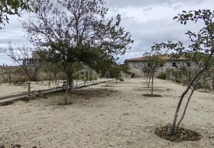 24 sot Torpaq Satılır, Bilgəh qəs., Sabunçu, Bakı