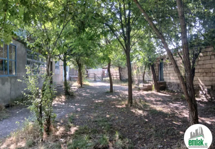 175 m² Obyekt / Ofis Satılır, Qəbələ