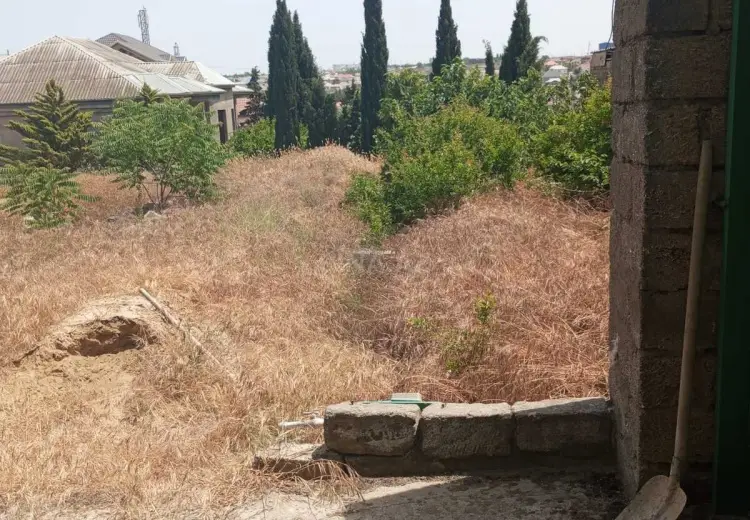 10 sot Torpaq Satılır, Novxanı, Abşeron