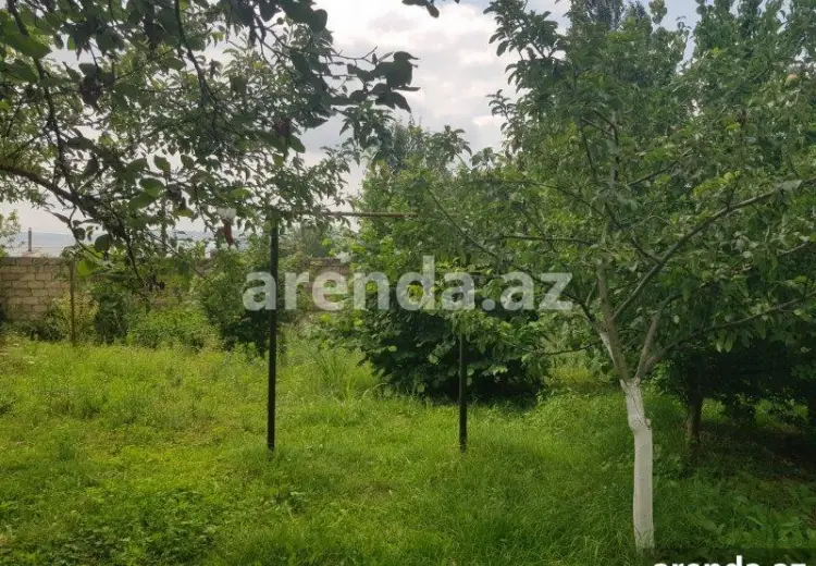 6 sot Torpaq Satılır, İsmayıllı