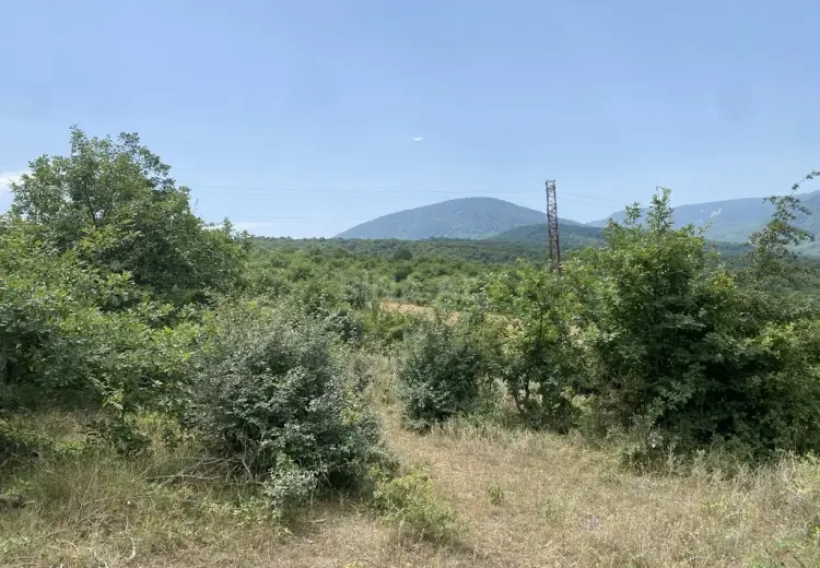 100 sot Torpaq Satılır, Şabran