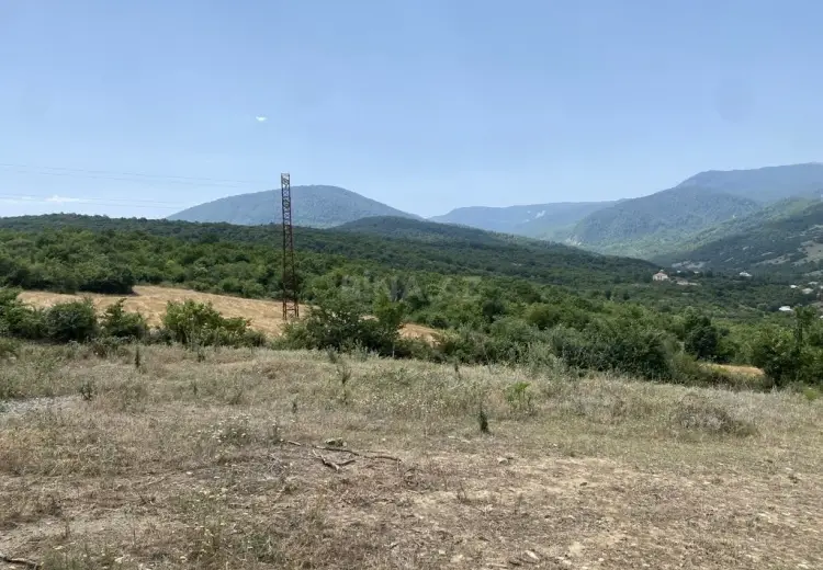 100 sot Torpaq Satılır, Şabran