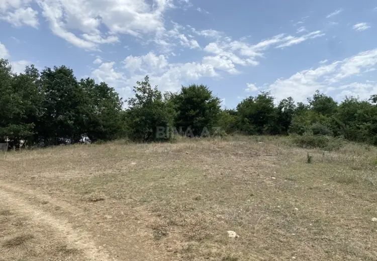 100 sot Torpaq Satılır, Şabran