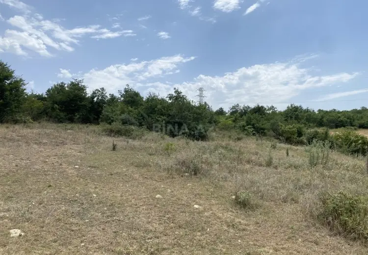 100 sot Torpaq Satılır, Şabran