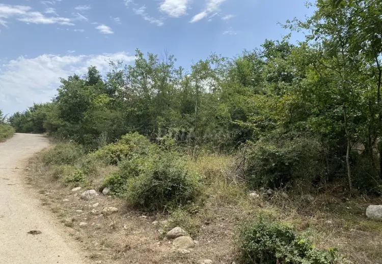 100 sot Torpaq Satılır, Şabran