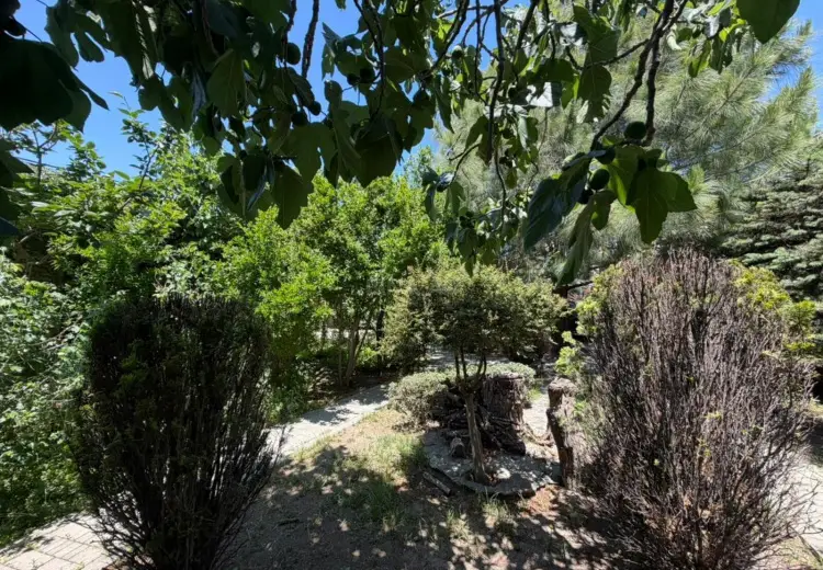 2 sot Torpaq Satılır, Badamdar qəs., Səbail, Bakı