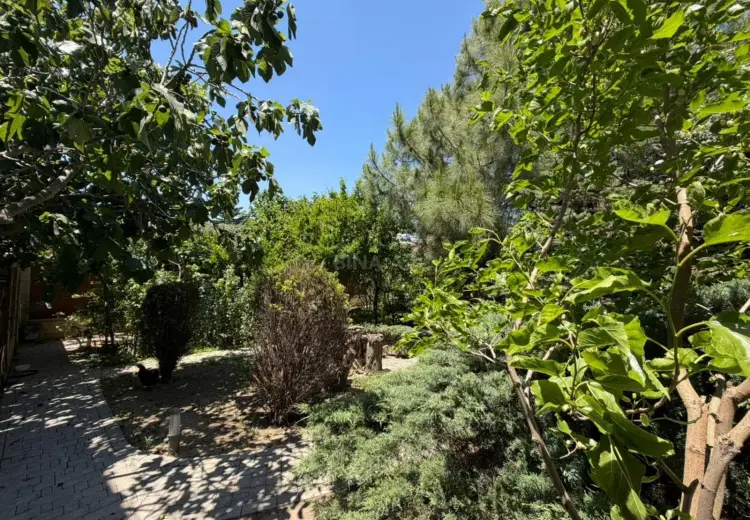 2 sot Torpaq Satılır, Badamdar qəs., Səbail, Bakı