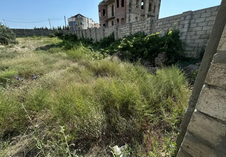 10 sot Torpaq Satılır, Saray, Abşeron