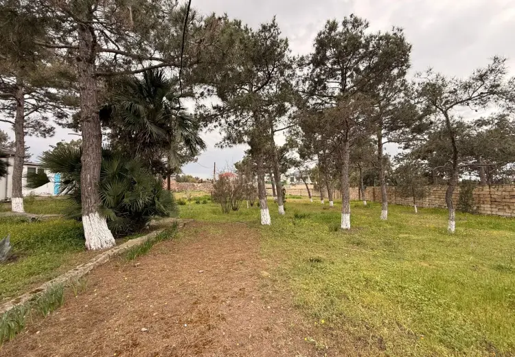 25 sot Torpaq Satılır, Şüvəlan, Xəzər, Bakı