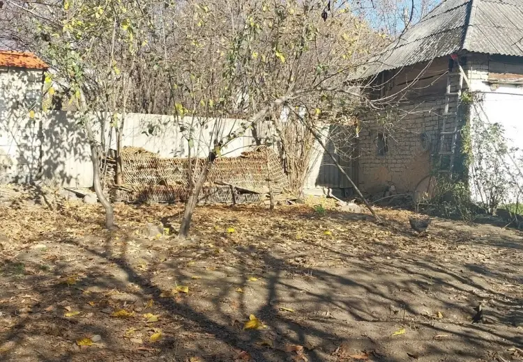4 sot Torpaq Satılır, Qəbələ