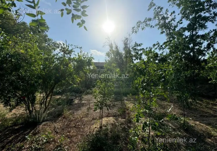 20 sot Torpaq Satılır, Mərdəkan, Xəzər, Bakı