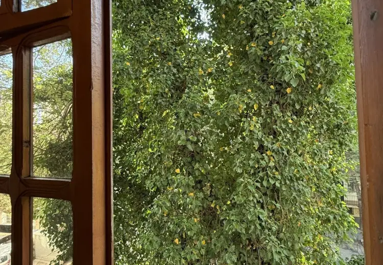 3 otaqlı mənzil Satılır, Yasamal qəs., Yasamal, Bakı