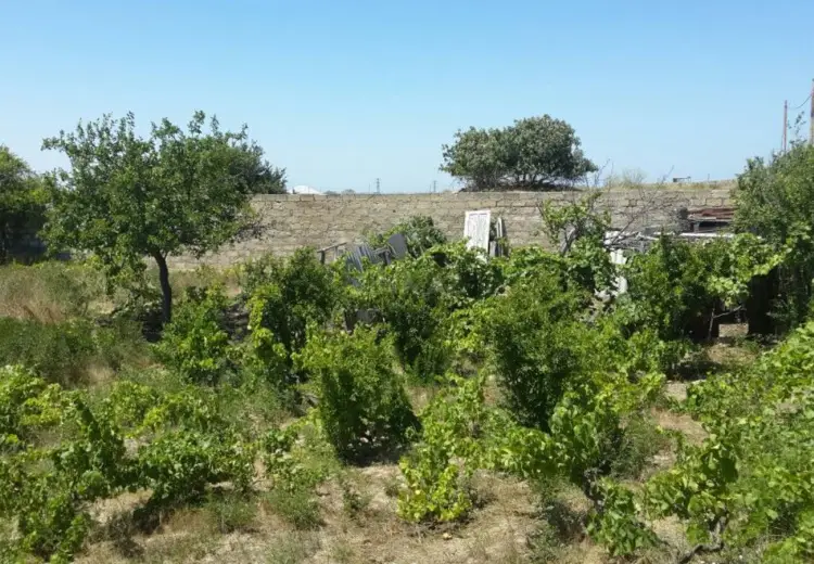 30 sot Torpaq Satılır, Nardaran qəs., Sabunçu, Bakı