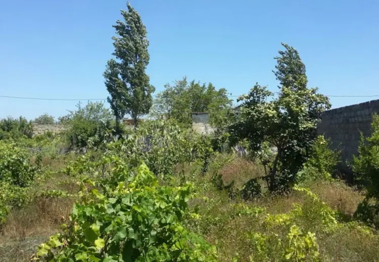 30 sot Torpaq Satılır, Nardaran qəs., Sabunçu, Bakı