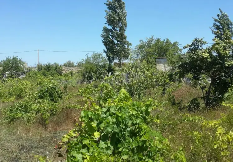 30 sot Torpaq Satılır, Nardaran qəs., Sabunçu, Bakı