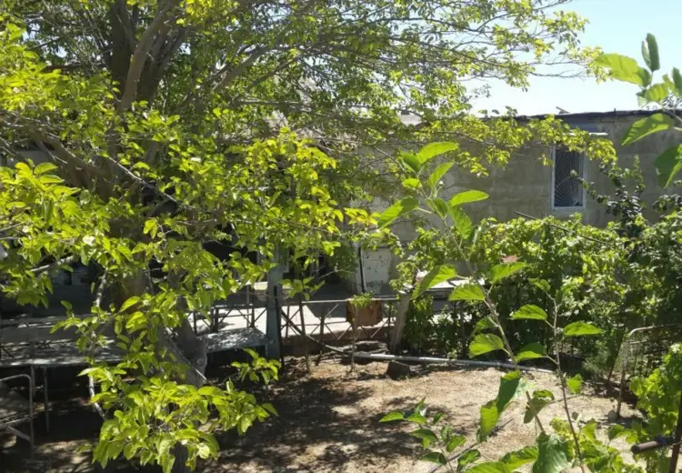 30 sot Torpaq Satılır, Nardaran qəs., Sabunçu, Bakı