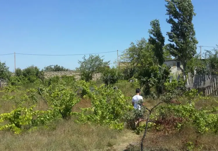 30 sot Torpaq Satılır, Nardaran qəs., Sabunçu, Bakı