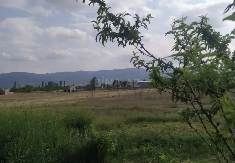 27 sot Torpaq Satılır, Şəmkir