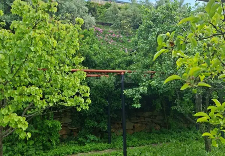 14 sot Torpaq Satılır, Binəqədi, Bakı