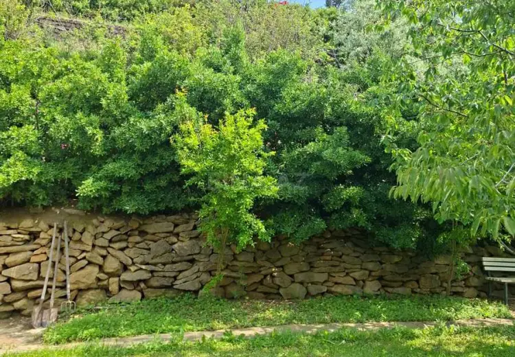 14 sot Torpaq Satılır, Binəqədi, Bakı