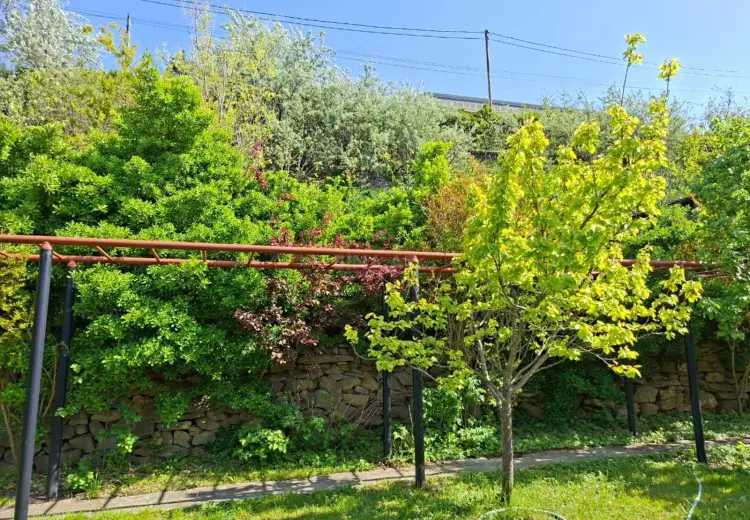 14 sot Torpaq Satılır, Binəqədi, Bakı