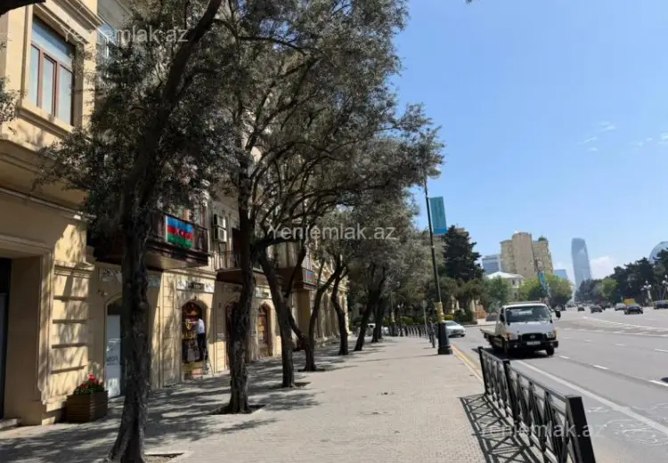 230 m² Obyekt / Ofis Kirayə (aylıq), Səbail, Bakı