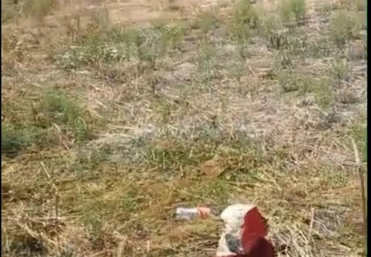 6 sot Torpaq Satılır, Fatmayı, Abşeron