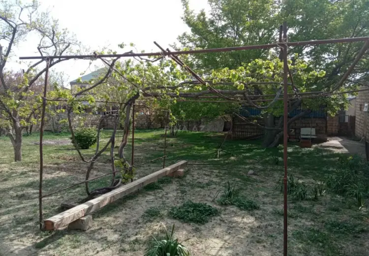6 sot Torpaq Satılır, Masazır, Abşeron