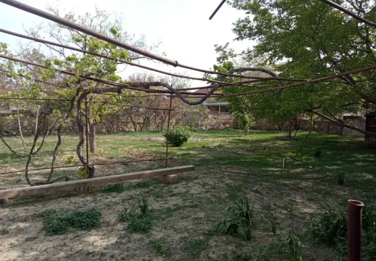 6 sot Torpaq Satılır, Masazır, Abşeron
