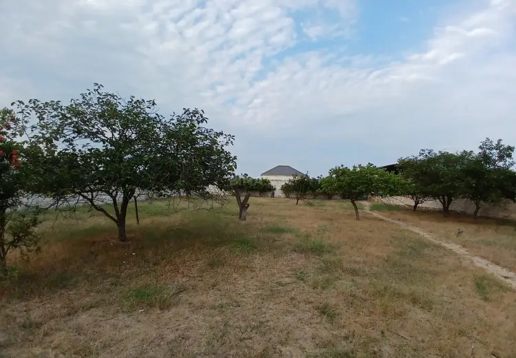 7.3 sot Torpaq Satılır, Məştağa qəs., Sabunçu, Bakı