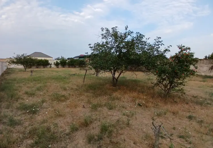 7.3 sot Torpaq Satılır, Məştağa qəs., Sabunçu, Bakı