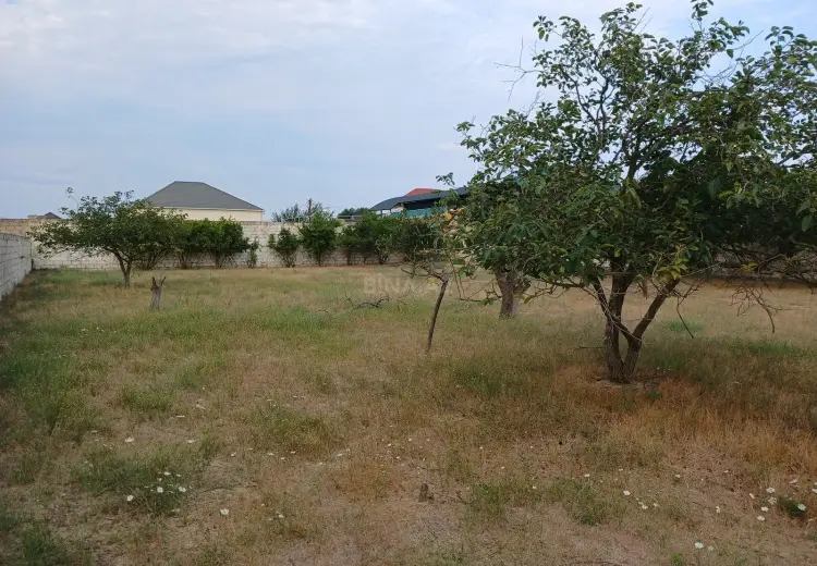7.3 sot Torpaq Satılır, Məştağa qəs., Sabunçu, Bakı