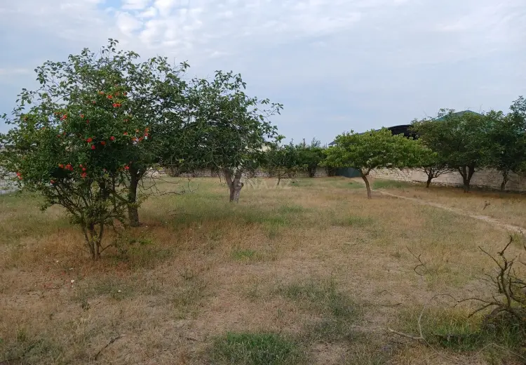 7.3 sot Torpaq Satılır, Məştağa qəs., Sabunçu, Bakı