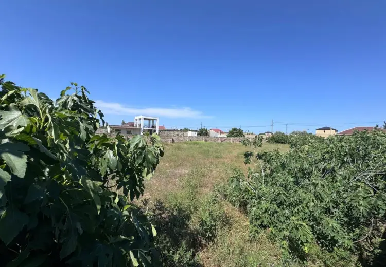 12 sot Torpaq Satılır, Nardaran qəs., Sabunçu, Bakı