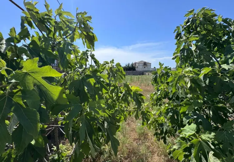 12 sot Torpaq Satılır, Nardaran qəs., Sabunçu, Bakı