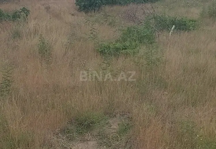 3 sot Torpaq Satılır, Bilgəh qəs., Sabunçu, Bakı