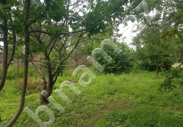 6 sot Torpaq Satılır, İsmayıllı