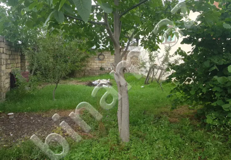 6 sot Torpaq Satılır, İsmayıllı