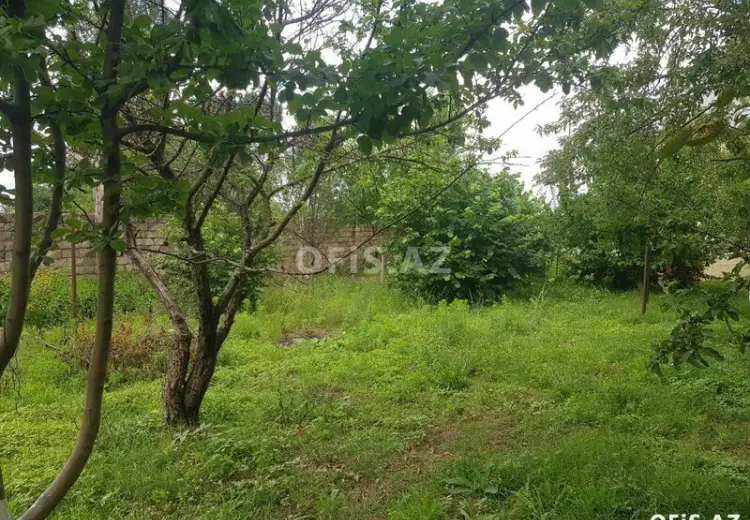 0 sot Torpaq Satılır, İsmayıllı