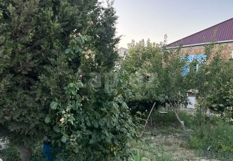 3 otaqlı mənzil , Sumqayıt