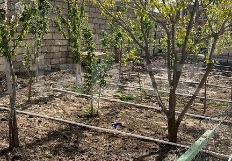 3 otaqlı mənzil , Bakı