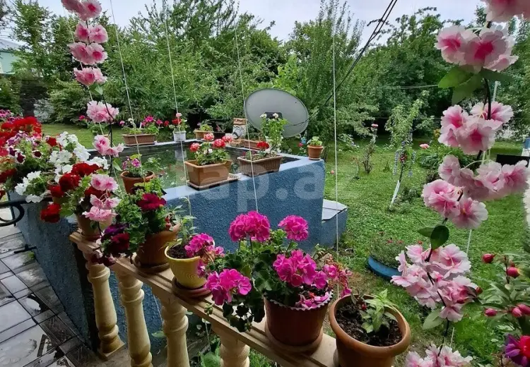 3 otaqlı mənzil Kirayə (günlük), Qəbələ